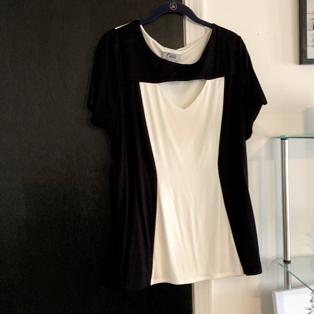 Catherine’s Curvy collection top (18/20W)
